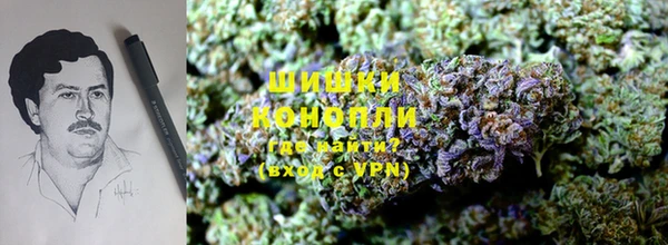 гашик Беломорск