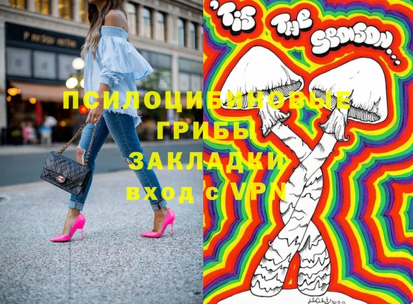 гашик Беломорск