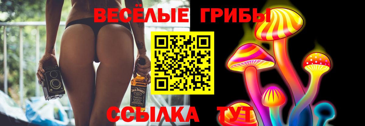 Лыткарино  Псилоцибиновые грибы Psilocybe  цены наркотик  Вход с VPN  Галлюциногенные грибы Psilocybine cubensis 