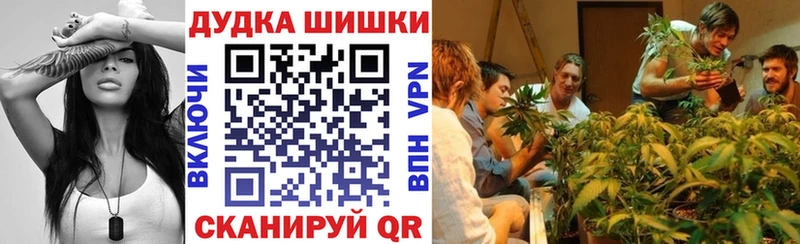Шишки марихуана сатива Лыткарино